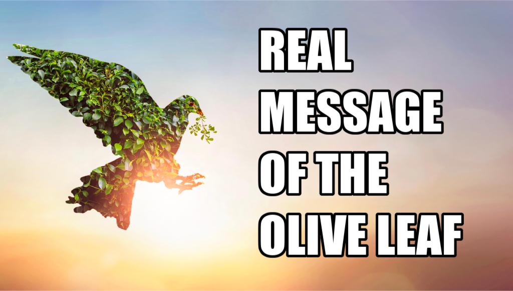 REAL MESSAGE OF THE OLIVE LEAF