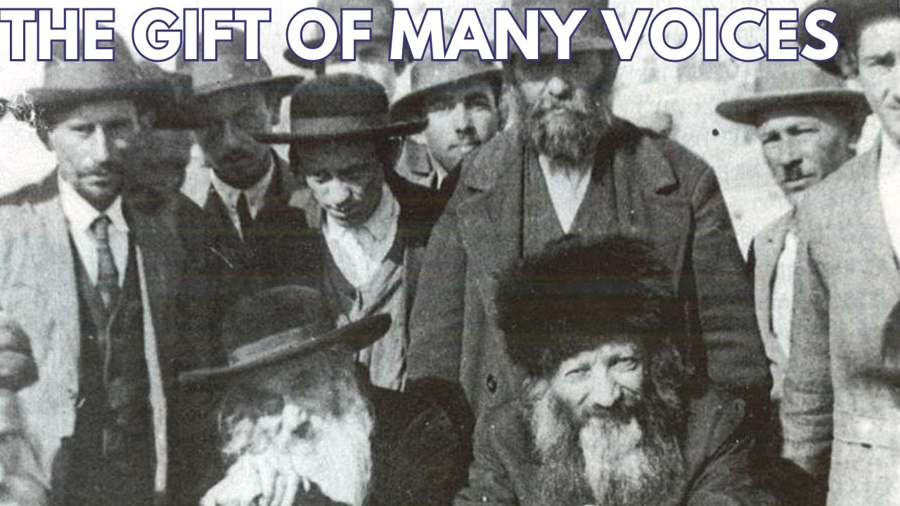 THE GIFT OF MANY VOICES