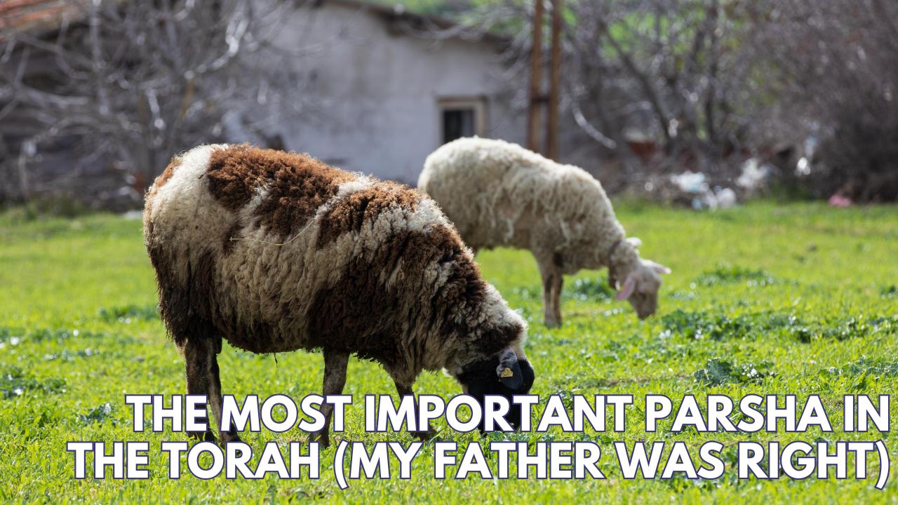 THE MOST IMPORTANT PARSHA IN THE TORAH (MY FATHER WAS RIGHT)