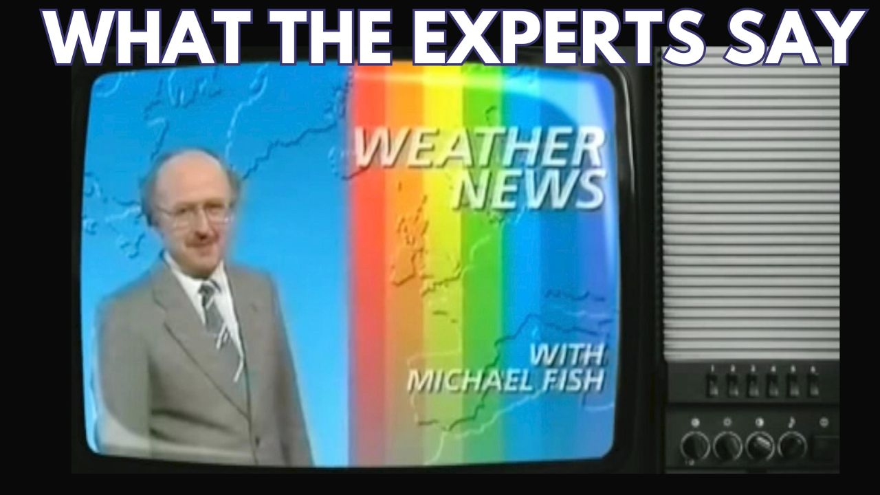 WHAT THE EXPERTS SAY