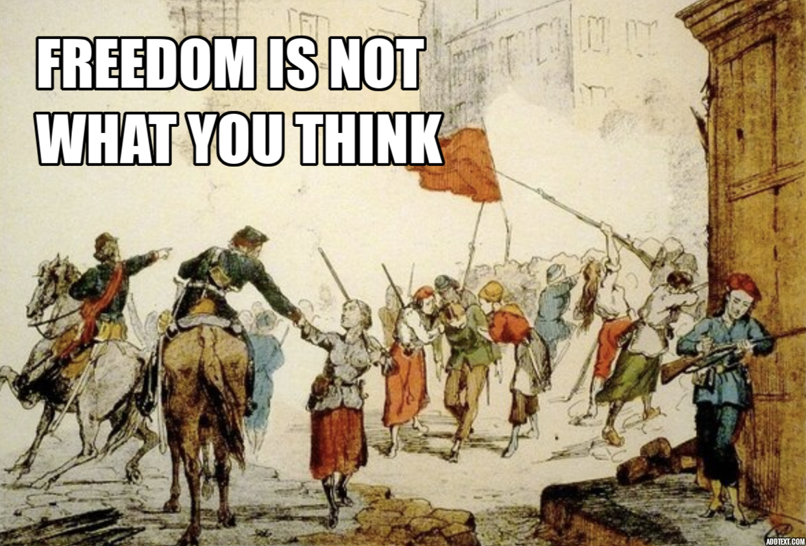 FREEDOM IS NOT WHAT YOU THINK