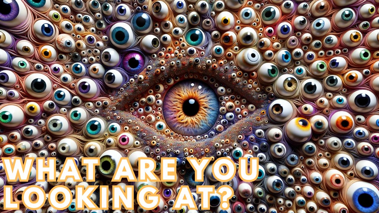 WHAT ARE YOU LOOKING AT?