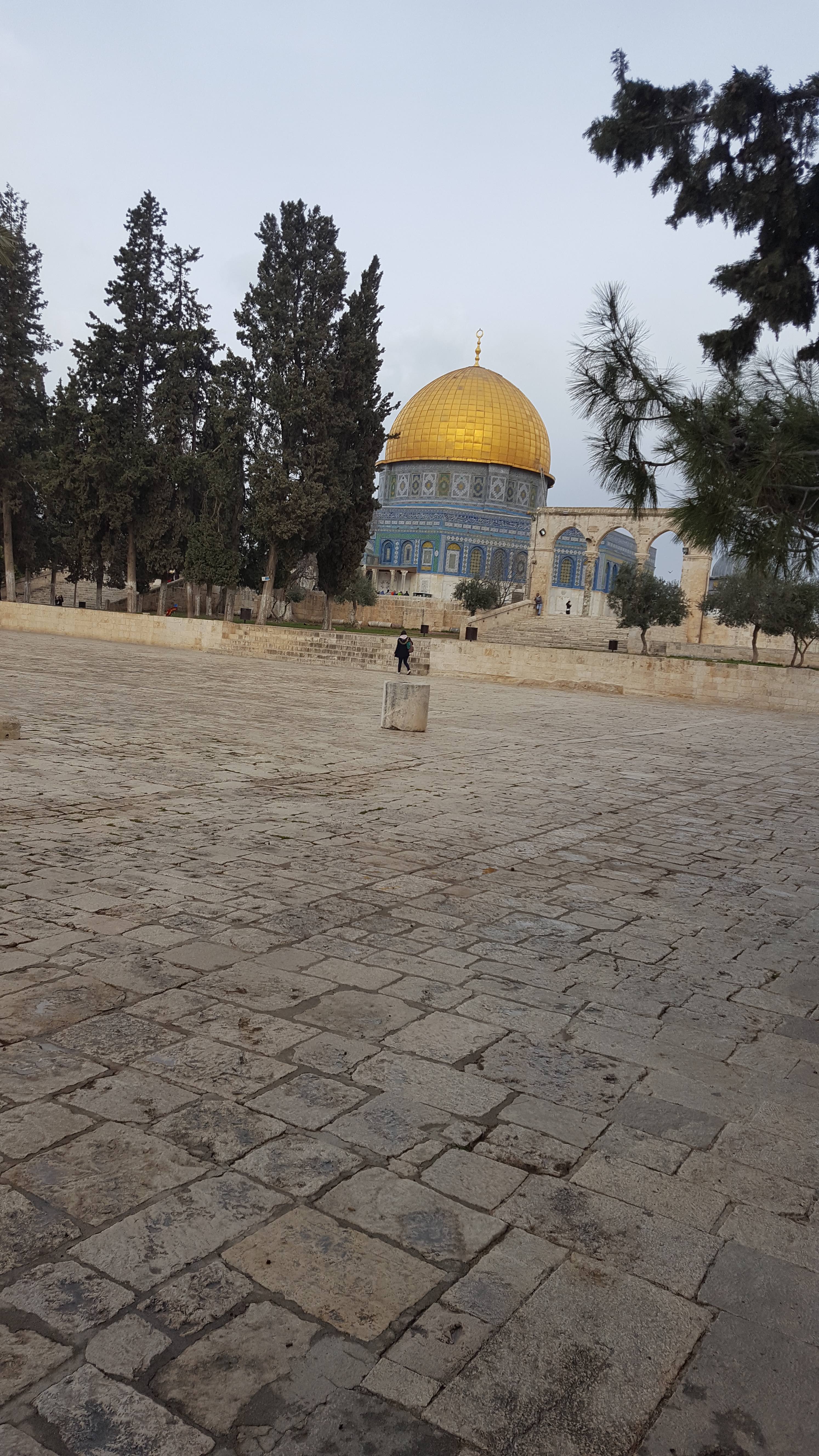 HE DREAMED OF HEGEMONY OVER TEMPLE MOUNT – IN 1836!