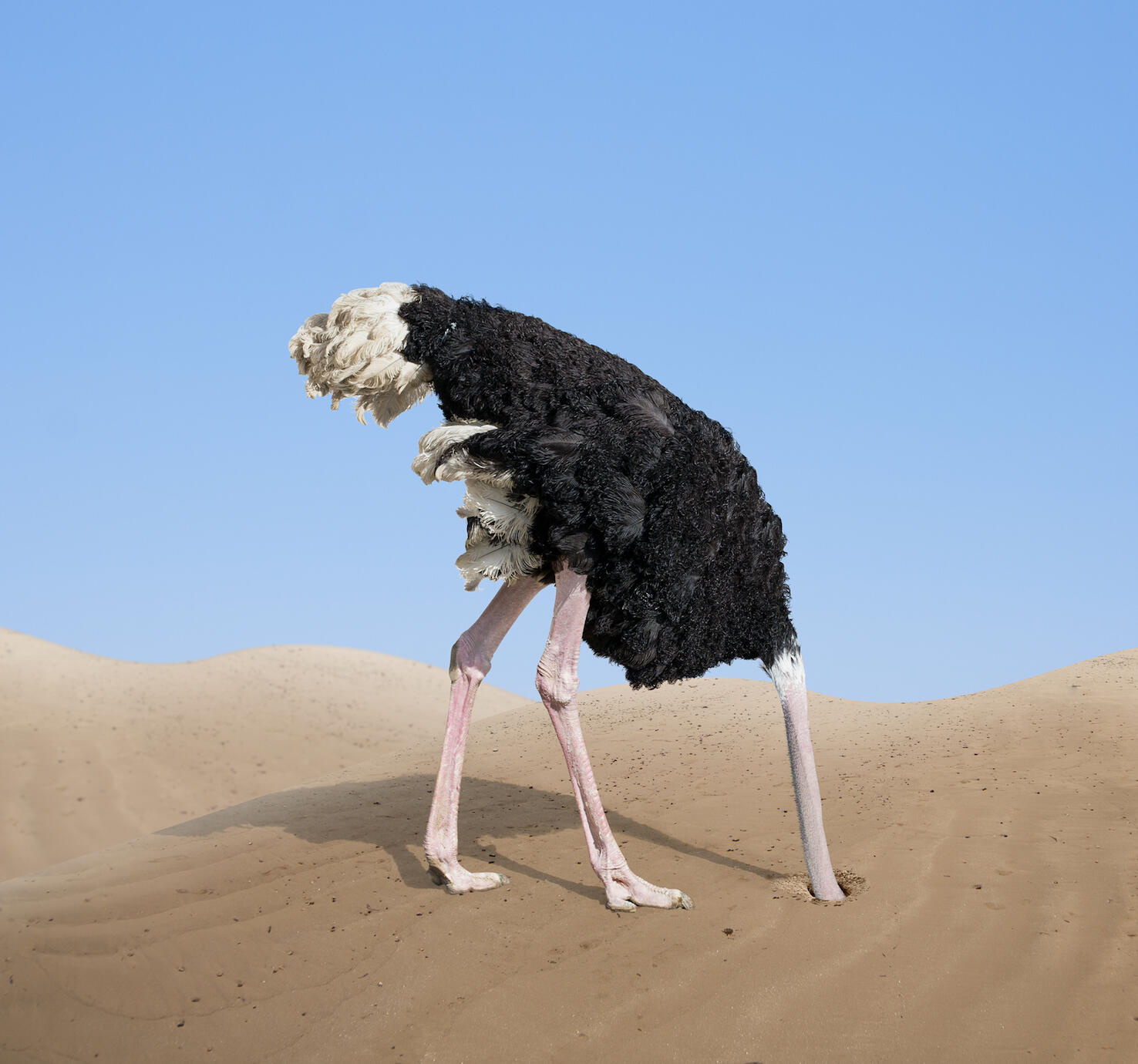 THE INSIDIOUS ROLE OF DENIAL