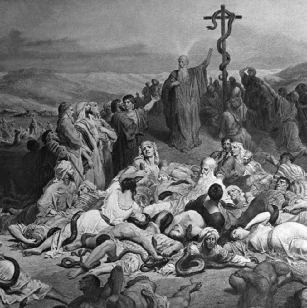 THE STRANGE EPISODE OF THE COPPER SNAKE (2)