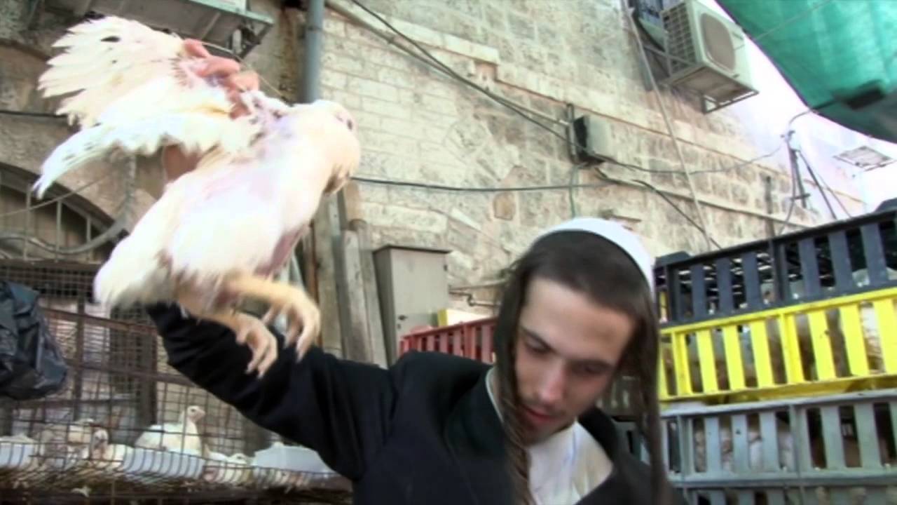 THE BATTLE FOR KAPPAROT AND JEWISH TRADITION