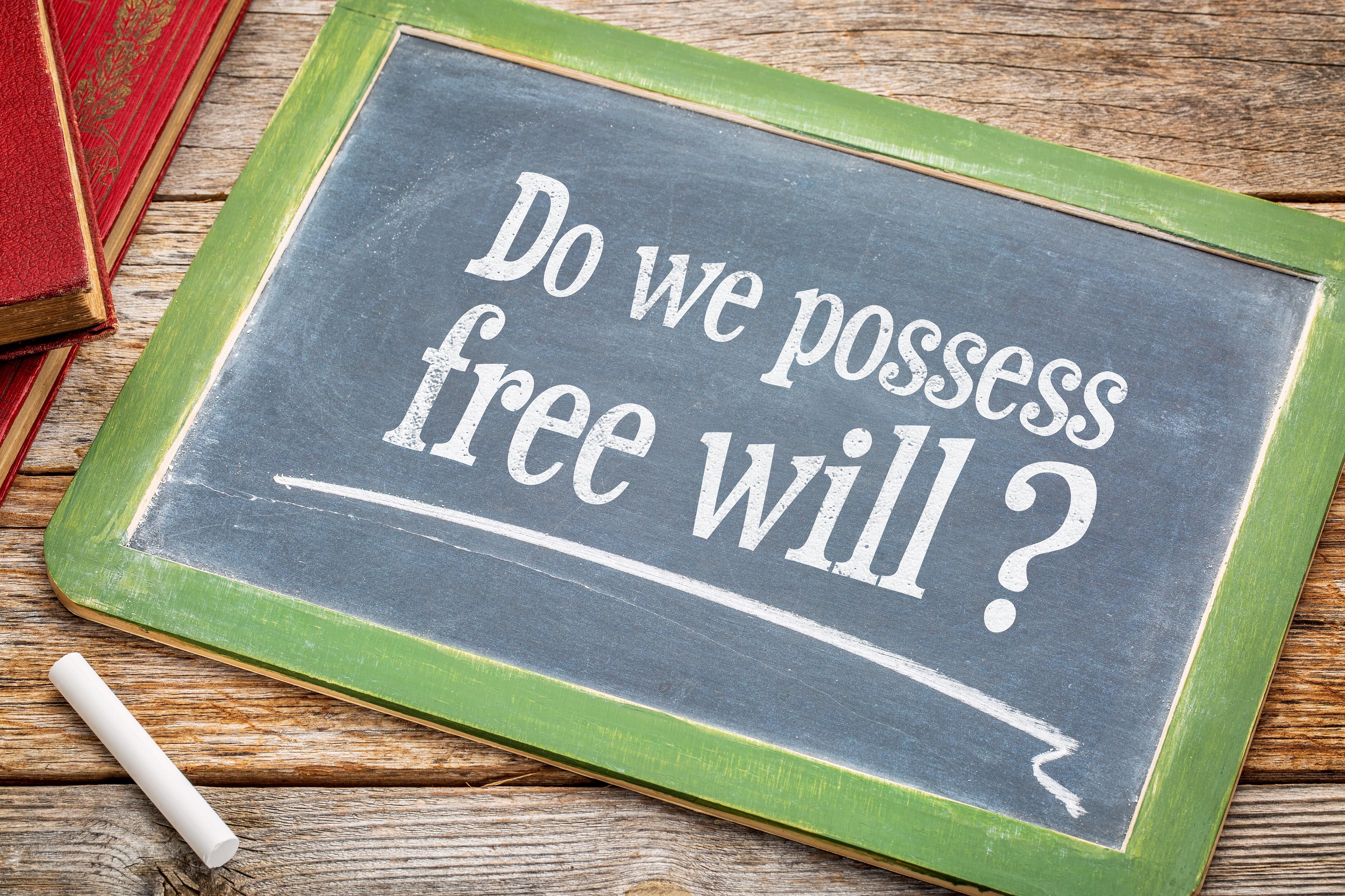 DO WE POSSESS FREE WILL? DOES IT MATTER?