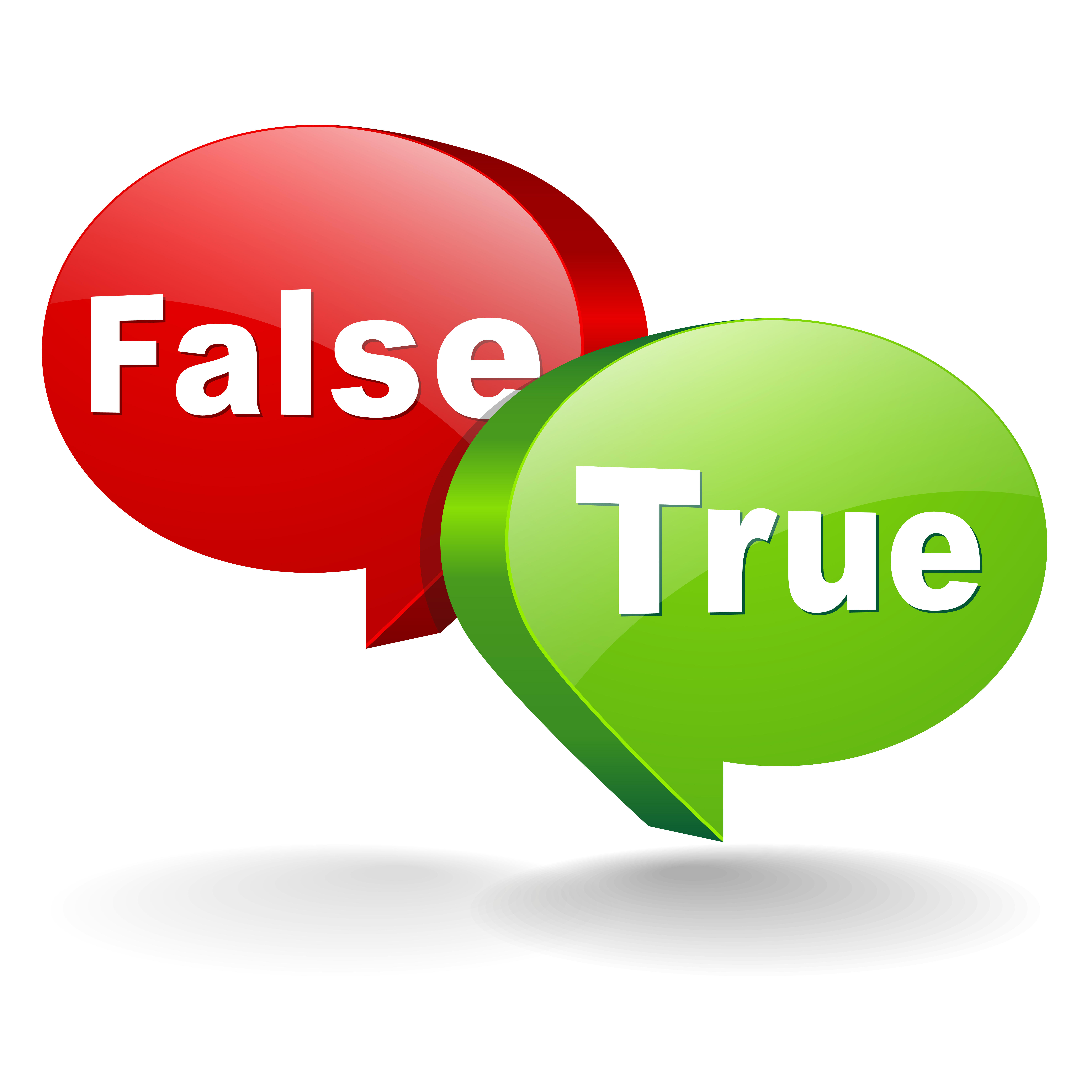 THE TRUTH ABOUT LYING