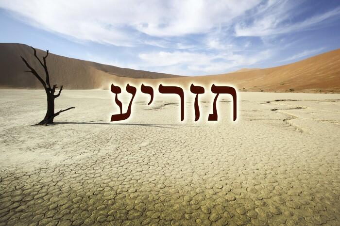 TRYING TO UNDERSTAND “TUM’AH”