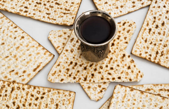 MAKING YOUR OWN PESACH SEDER PLUS Q&A