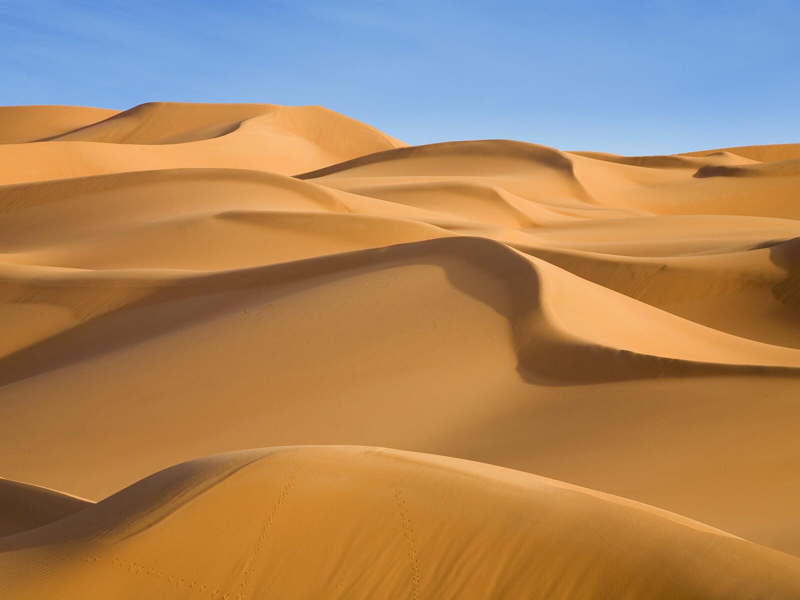TIME TO BECOME A DESERT
