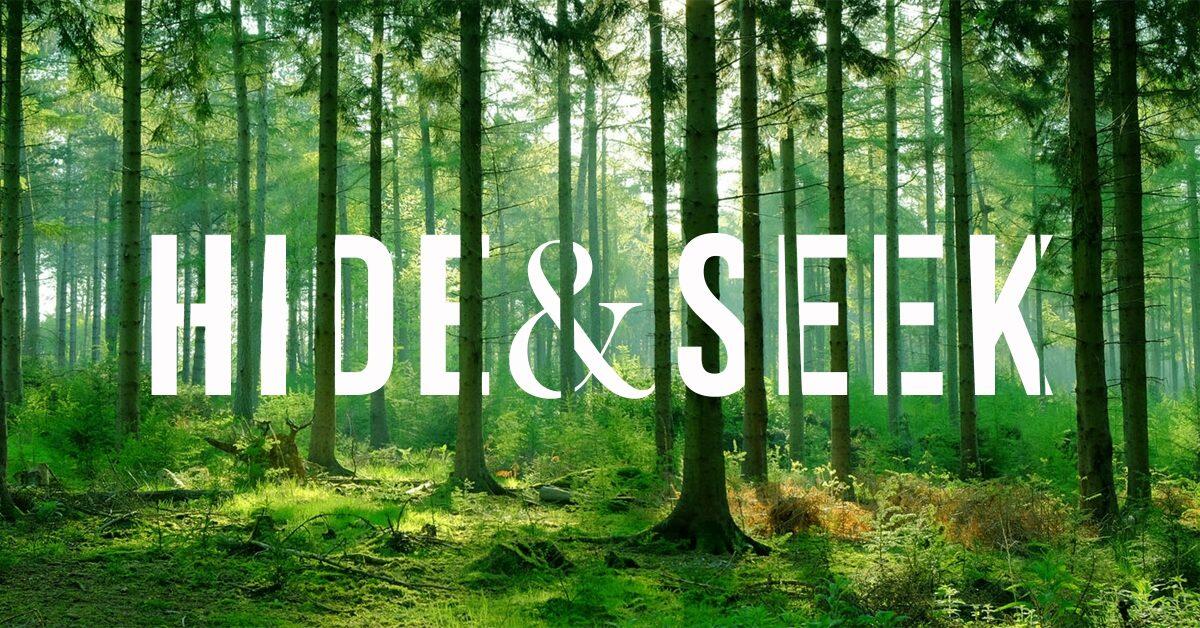 HIDE AND SEEK