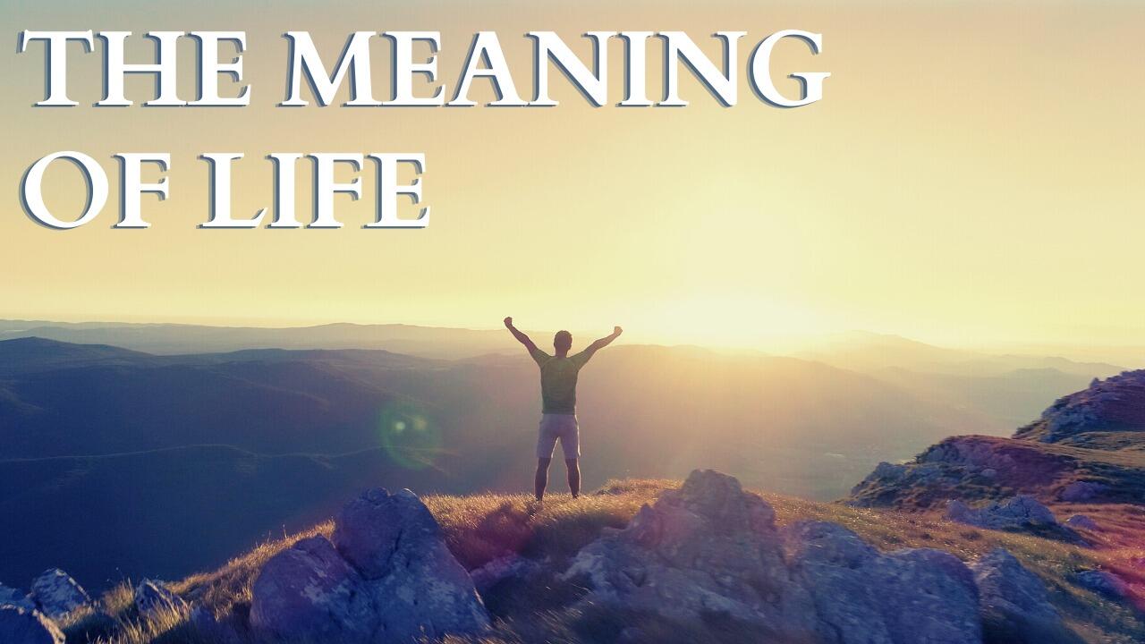 THE MEANING OF LIFE
