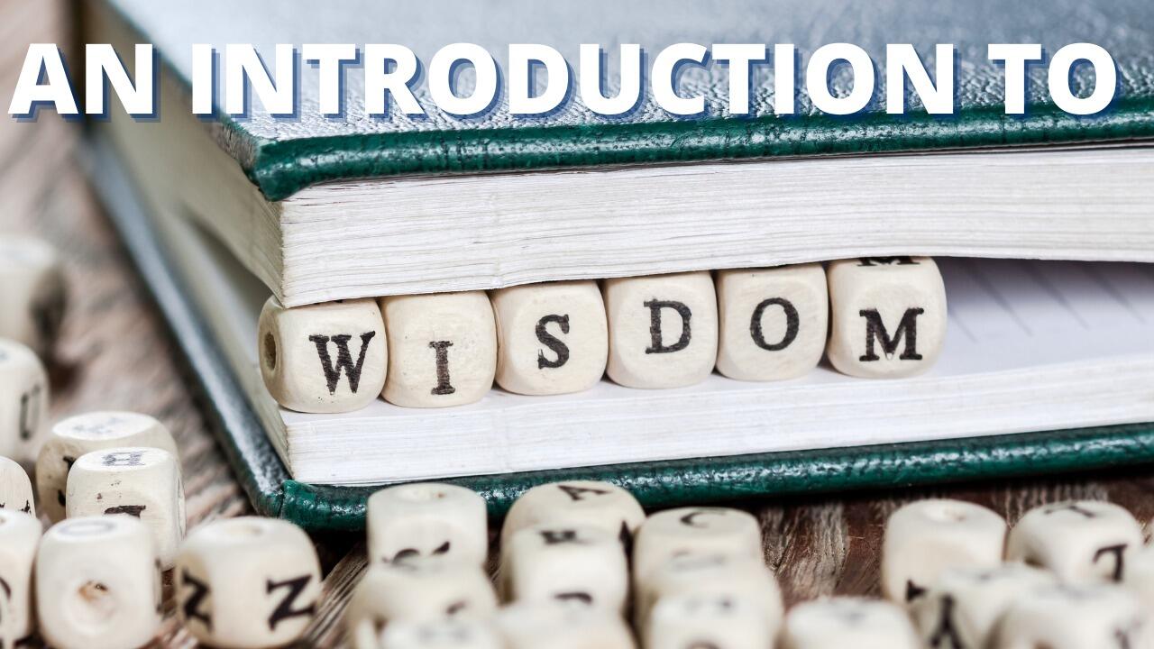 AN INTRODUCTION TO WISDOM