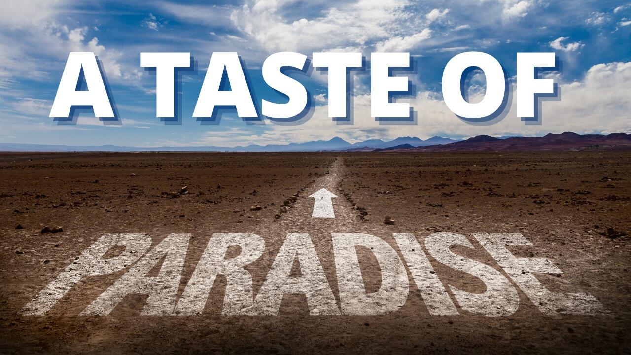 A TASTE OF PARADISE