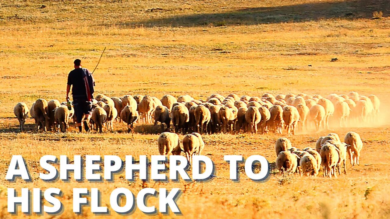 A SHEPHERD TO HIS FLOCK