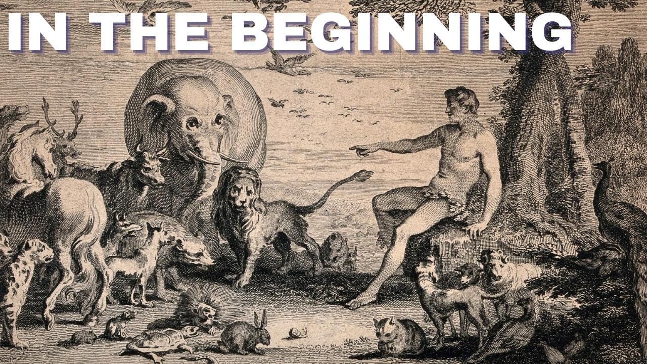 IN THE BEGINNING