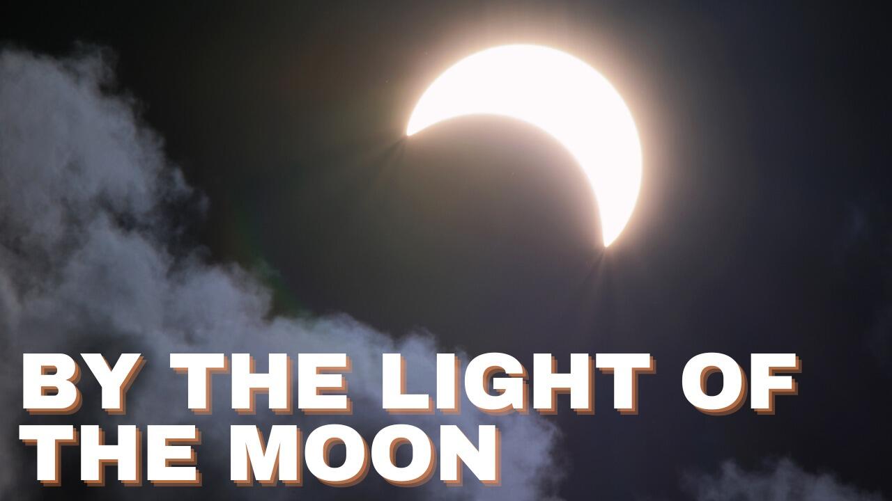 BY THE LIGHT OF THE MOON