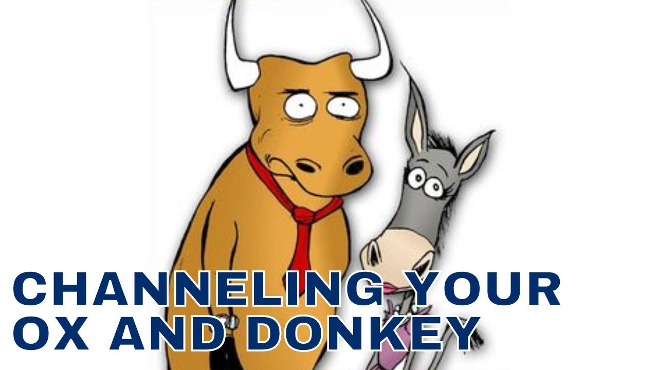 CHANNELING YOUR OX AND DONKEY