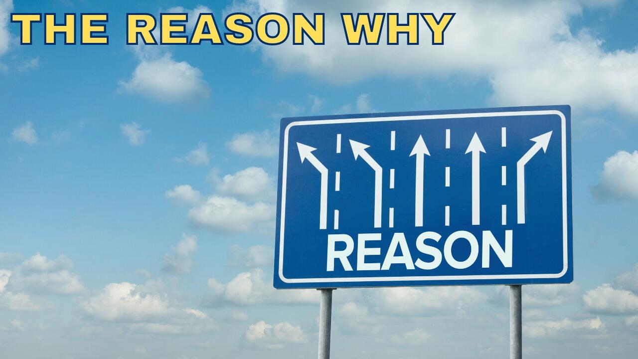 THE REASON WHY