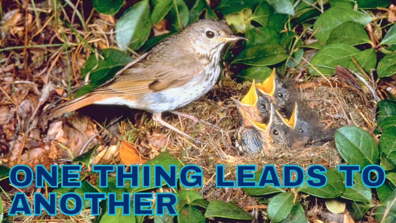 ONE THING LEADS TO ANOTHER