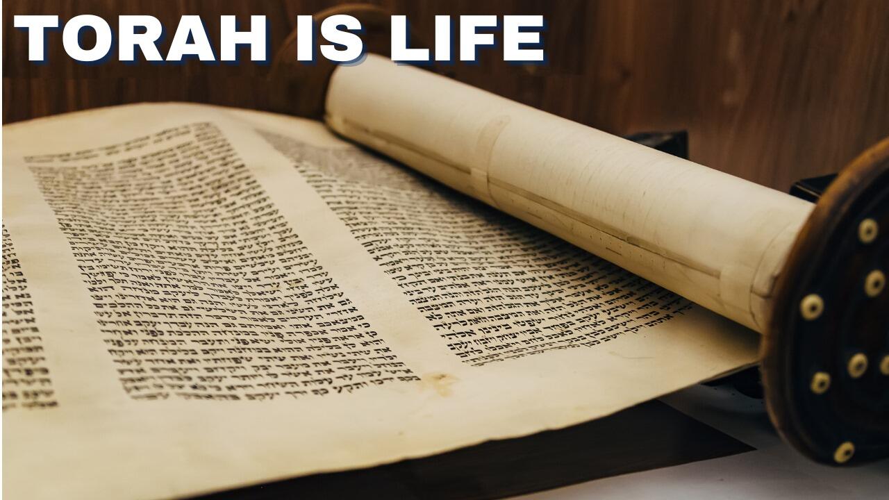 TORAH IS LIFE