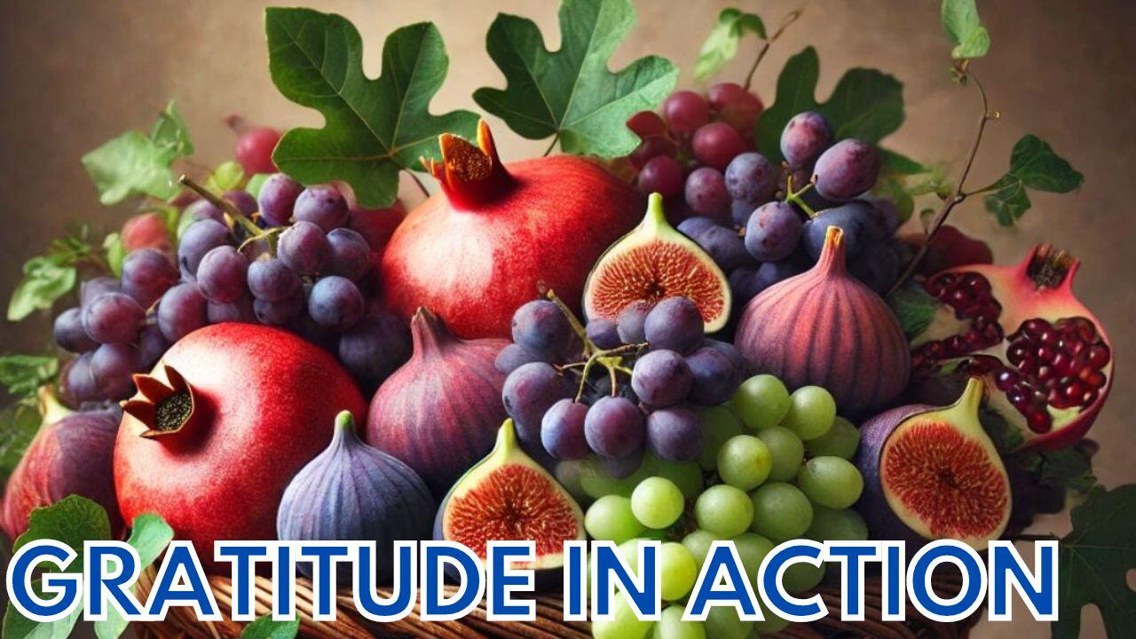 GRATITUDE IN ACTION